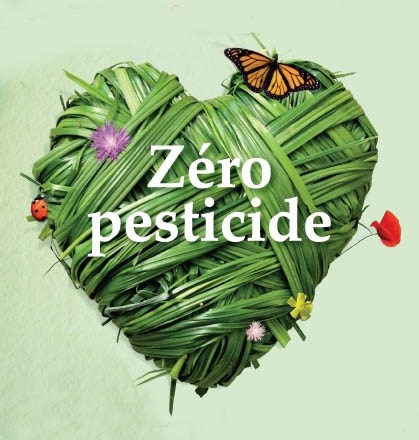 visuel-coeur-zero-pesticide
