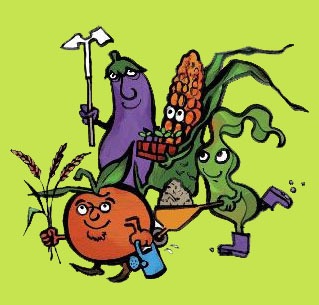 zero-pesticides-legumes