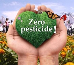 zero-pesticides