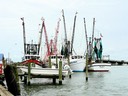 CHINCOTEAGUE, VIRGINIE, USA.