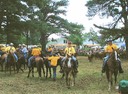 Cowboys de Chincoteague. Au fond deux cars du ramassage scolaire utilisés pour le transport du public.