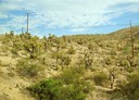 Désert Mojave, photo prise derrière les vitres teintées de l'autocar.