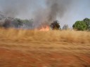 Petit feu de brousse... pour en éviter un grand.