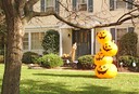 Une autre maison à Berkeley Heights.