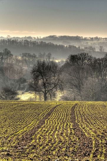 hiver-paysage-campagne copie