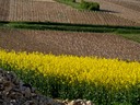 Printemps, 3. La vigne des quatre saisons Morogues. Photo Nathalie Poupard.