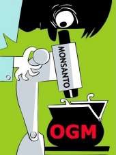 microscope-ogm-monsanto