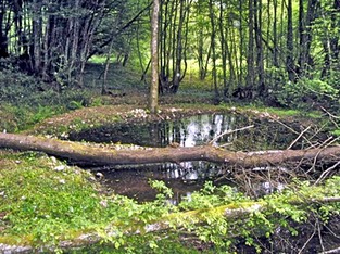 Source Sainte Lorette-1-JL Rabineau