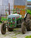 Tracteur-mariage-Berlaudiot